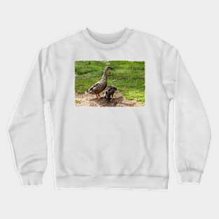 Mallard Duck Mum and her Duckling Crewneck Sweatshirt